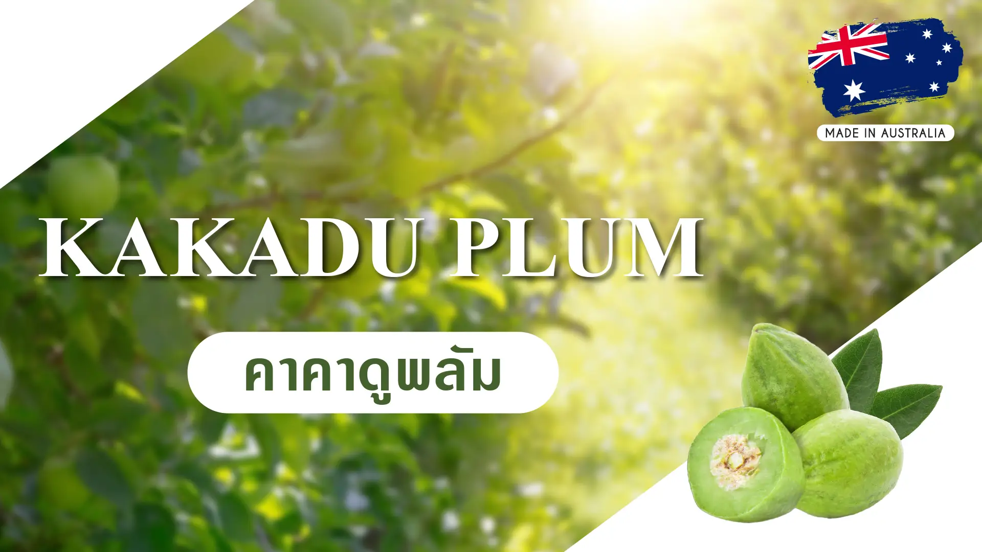 สารสกัดจากคาคาดูพลัม