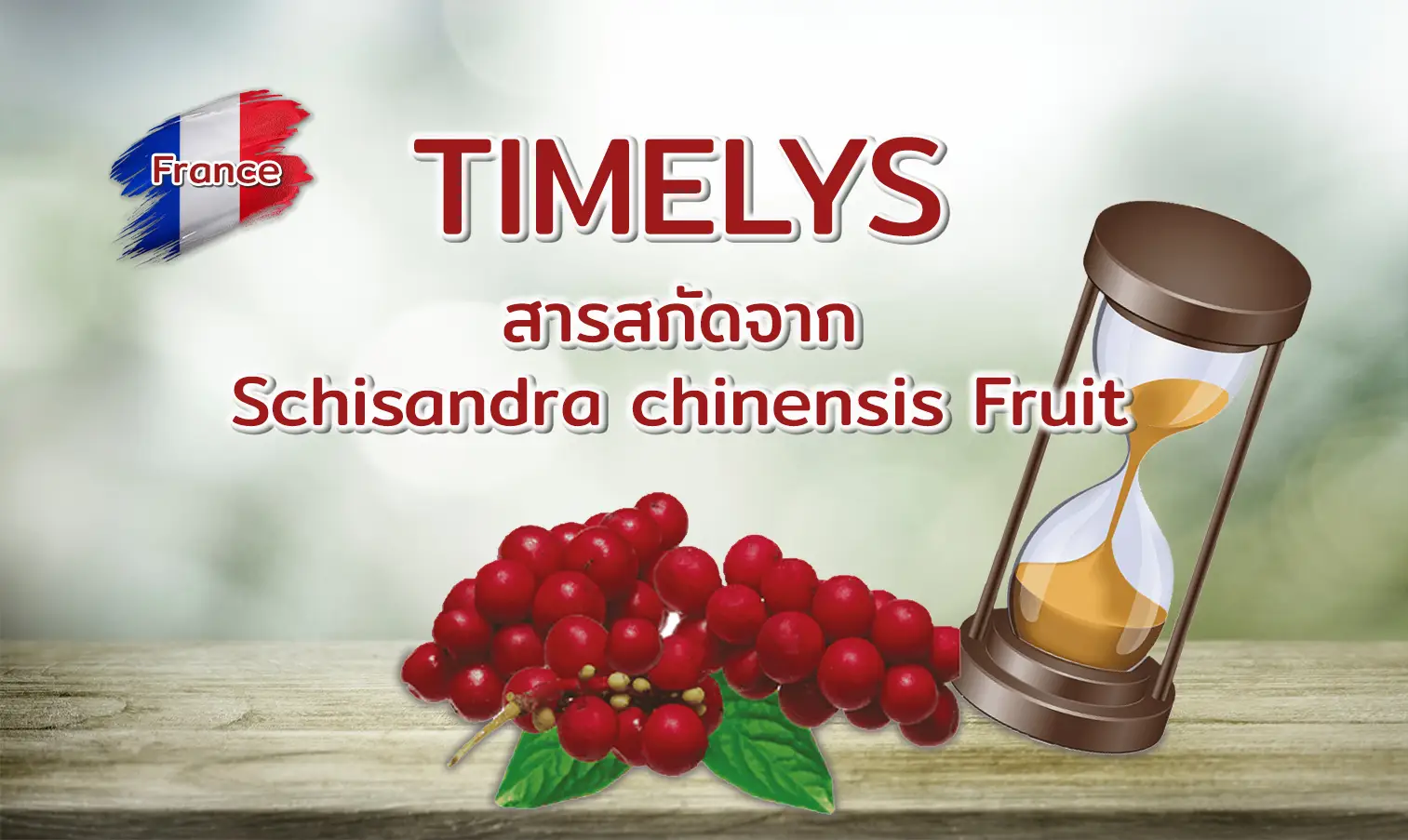 TIMELYS® สารสกัดจากผล Schisandra chinensis berry